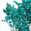 永生花材 | 水晶草蓝色 商品缩略图3
