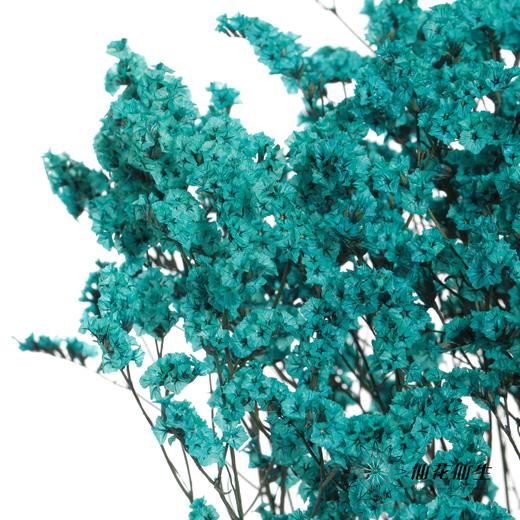 永生花材 | 水晶草蓝色 商品图3