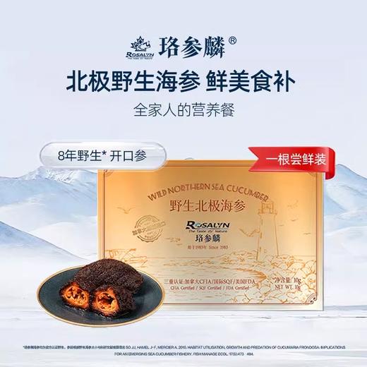 ROSALYN 珞参麟 8年北极野生干海参 开口参尝鲜1头装 10g 商品图0