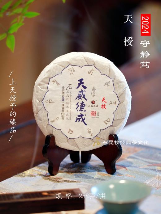 2024天授 古树生茶 上天授予的臻品 石昆牧老师定制 商品图0