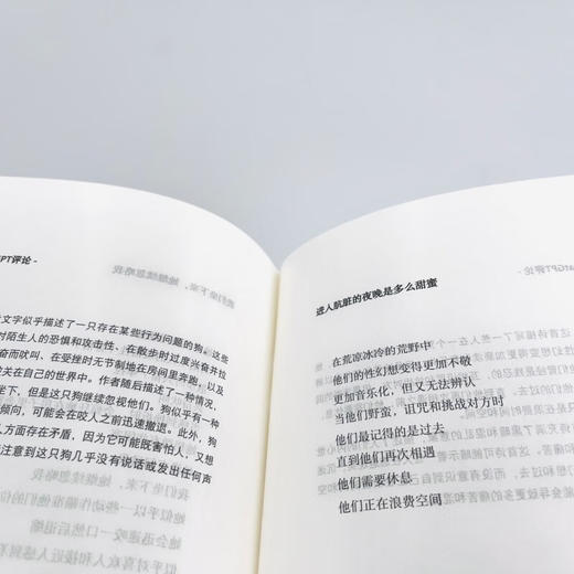 夏宇诗集六种加一（腹语术、摩擦·无以名状、Salsa、粉红色噪音、诗六十首、第一人称、验证您是人类） 商品图8