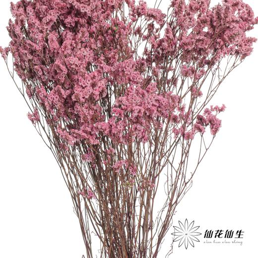 永生花材 | 水晶草粉色 商品图1