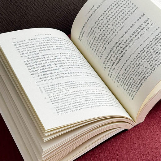 尼采作为古代文史学者 经典与解释 尼采注疏集 西方学界关于尼采研究的新成果 商品图12