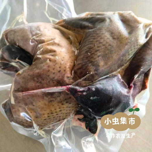 沃野生态溜达鸡 现有五黑母鸡  |  合作农友生产，产自陕西咸阳，生产者：郑力行 *【公平贸易农人定价】 商品图6