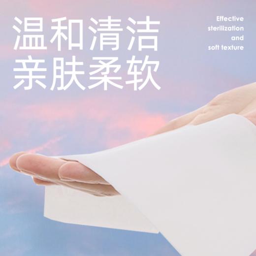 碧芭宝贝 云霓绮梦系列卫生湿巾20抽10包 商品图9