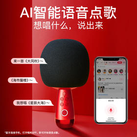 唱吧小巨蛋麦克风 手机K歌麦克风音响一体 家庭娱乐KTV无线话筒 高音防啸叫