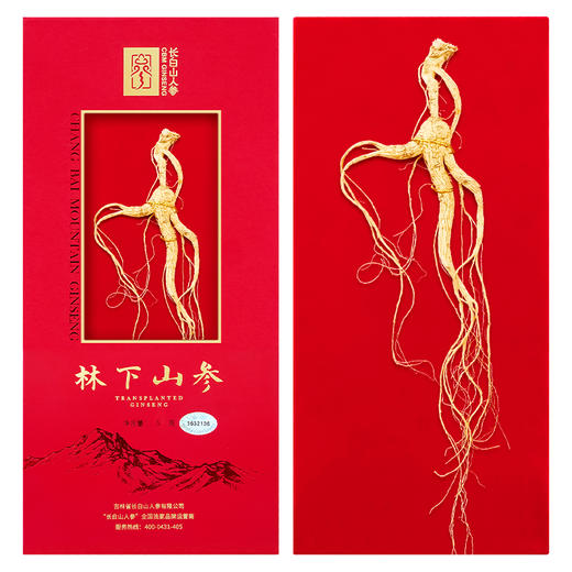 【长白山人参】林下山参开窗礼盒3g/4g/5g 商品图1