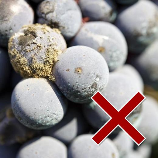 高等真菌防治包  佳果+益唯特  一套兑水10壶 商品图1