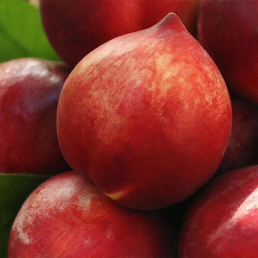 【云南·红宝石蜜桃】桃香十足，外形圆润，一桃两吃，甜脆的，软甜多汁，甘甜的桃汁在口中弥漫 商品图4