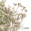 永生花材 | 水晶草白色 商品缩略图2