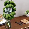  网红水培盆栽小米蕉香蕉带把可观赏食用桌面绿植禁止蕉绿 商品缩略图1