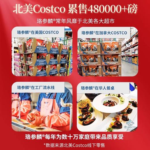 ROSALYN 珞参麟 北极野生干海参 12年参龄 整筒参 150克金色礼盒 商品图3