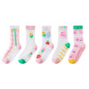 【19.9/5双】玻璃丝儿童袜子夏季新款 韩版卡通樱桃水晶丝薄款儿童中筒袜聚 商品缩略图4