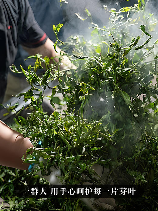 【六六大顺】四大茶区蕞牛山头完美邂逅 放弃利润 赔钱做半价 500g/砖 每个ID限购10砖 拍5发6 商品图8