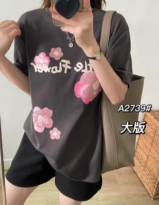 女圆领短T2739 商品图3