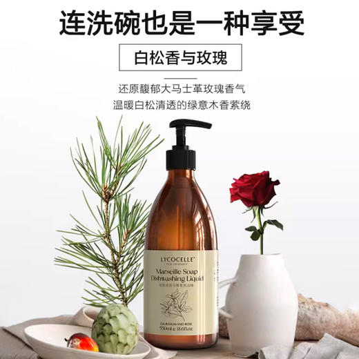 绽家6.18大促！【绽家液态马赛皂洗洁精750ml】 以油溶油 不止洁净 还更健康   0609 商品图4