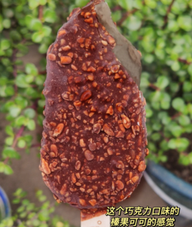 雪帝生牛乳坚果巧克力脆皮70g