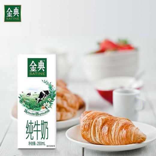 【自营】伊利 金典纯牛奶 250ml*12支 商品图3