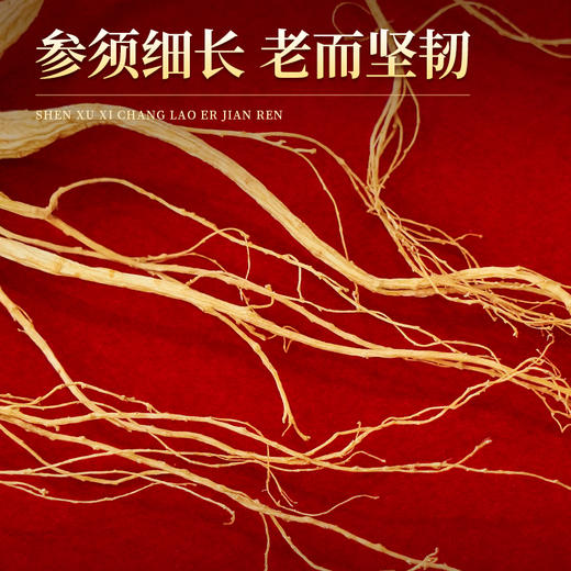 热销J【林下参50g】长白山人参林下参礼品盒装50g 商品图4