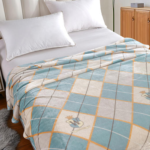 【紫韵家纺】简约生活休闲盖毯180*200 商品图1