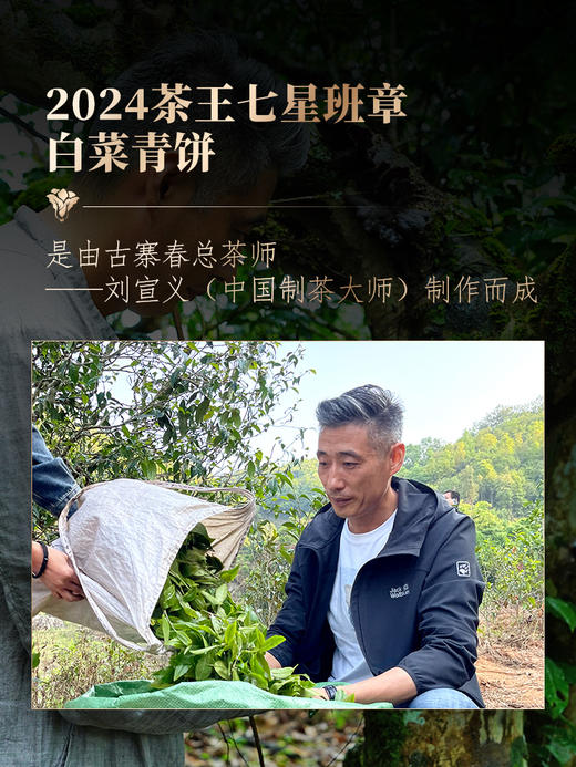 【茶王七星班章白菜青饼】2024年春茶 史诗级巨作让整个茶界为之沸腾，正统班章味班章韵中国制茶大师多年心血结晶 拍5发6拍20发25 商品图1