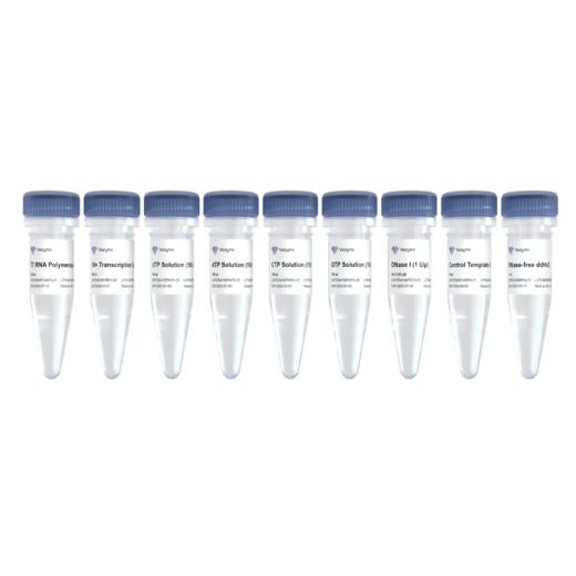 T7 High Yield RNA Transcription Kit 商品图0