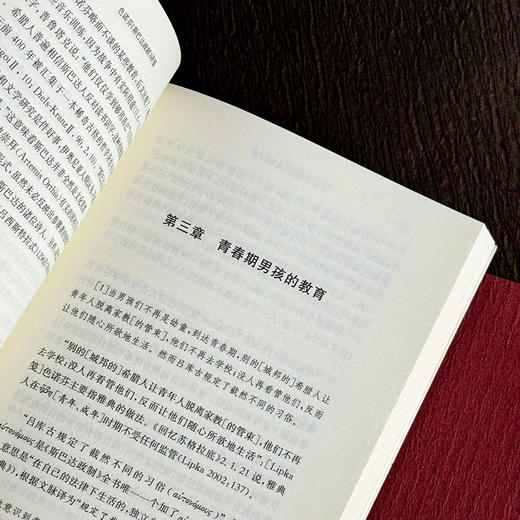 色诺芬《斯巴达政制》译笺 西方传统 经典与解释 色诺芬注疏集 斯巴达人 商品图9