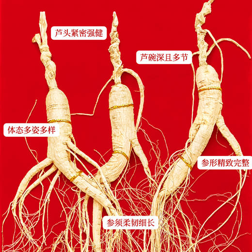 热销J【林下参50g】长白山人参林下参礼品盒装50g 商品图1