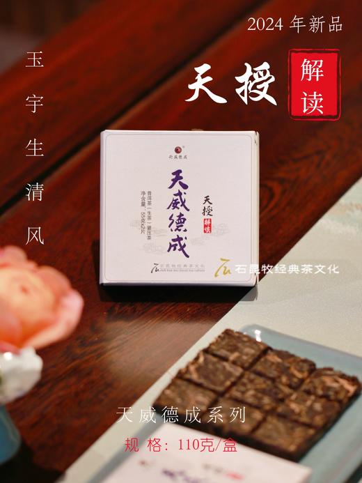 2024天授·解读  臻品古树生茶 玉宇生清风 九宫格便携易冲泡 商品图0