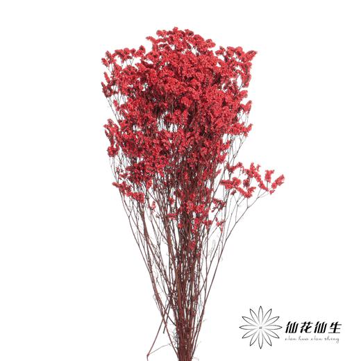 永生花材 | 水晶草红色 商品图0