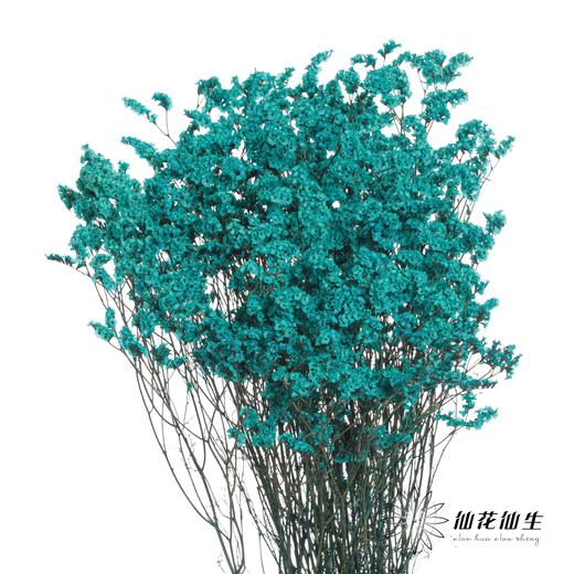 永生花材 | 水晶草蓝色 商品图2