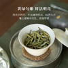「北路白茶」天杏 福鼎白茶白毫银针2024年散茶高山高档茶叶250g 商品缩略图3
