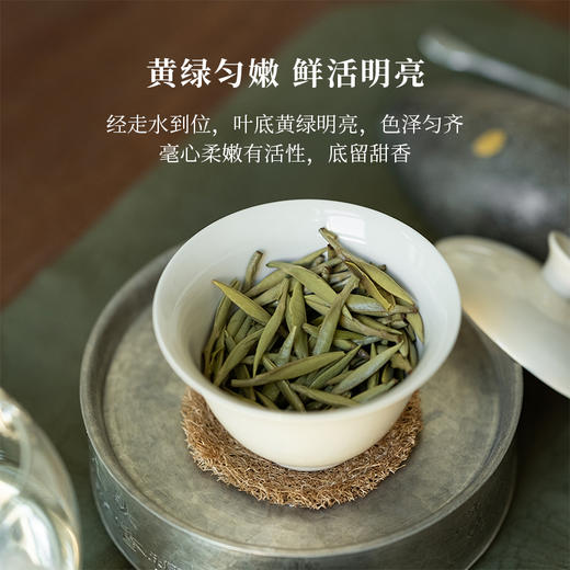 「北路白茶」天杏 福鼎白茶白毫银针2024年散茶高山高档茶叶250g 商品图3