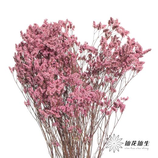 永生花材 | 水晶草粉色 商品图3