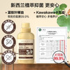 绽家6.18大促！【绽家洗衣机清洗剂250ml】 免泡免加热水【40分钟】深度去污杀菌去异味！除菌99.9%，根源除霉斑99.9%新家  0609 商品缩略图2