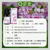 【柅愈】香叶/玫瑰纯精油5ml 法国原产天竺葵精油 单方纯精油 扩香/熏香/调油 商品缩略图3