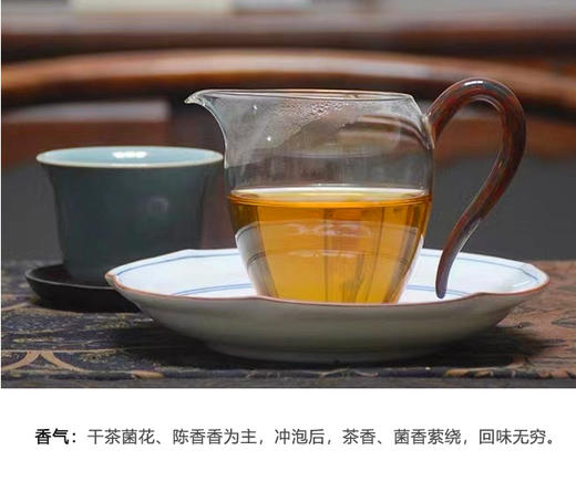 高马二溪 | 煮一壶春秋 2007年老茯茶 120g/袋 商品图1