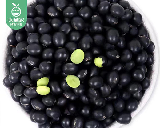 【到手2包】袁蒙青仁黑豆/1份（约420g*2包） 商品图2