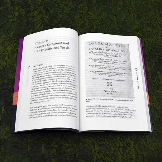 【官方】莎士比亚诗歌简论:十四行诗及其他(斑斓阅读.外研社英汉 商品图4