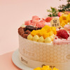 夏日倾情·冰淇淋蛋糕（4拼口味） |  梦雪龙 商品缩略图1