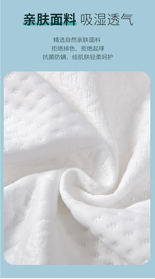 红豆慢回弹记忆枕  HD-Z230404 商品图6