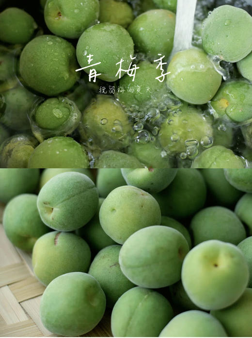 水果界的“消暑机”【云南高山青梅】又脆又酸 消暑、解渴、生津 云南的夏日秘方 商品图1