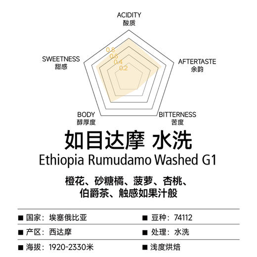埃塞 如目达摩 水洗 G1 甄选手冲咖啡豆 商品图1