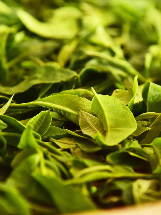 【茶农自存-冰岛老寨】2016年存世茶后冰岛老寨 茶农自存好茶 挑树挑采仅供贵客 ！ 商品图8