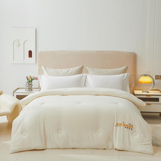 红豆亲肤大豆被  HD-DB230111 商品图1