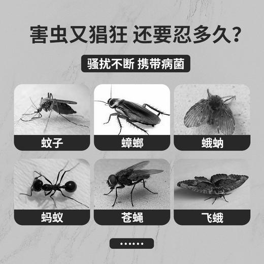 【买一送一】澳洲原装进口AIRUSH诱捕盒 家用驱虫驱蚊蟑螂 天然植萃凝胶 除虫驱螨 15g/盒 商品图3