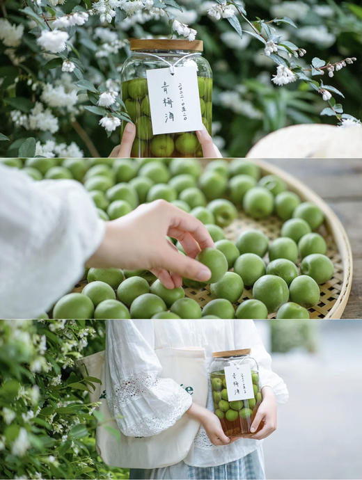 水果界的“消暑机”【云南高山青梅】又脆又酸 消暑、解渴、生津 云南的夏日秘方 商品图5