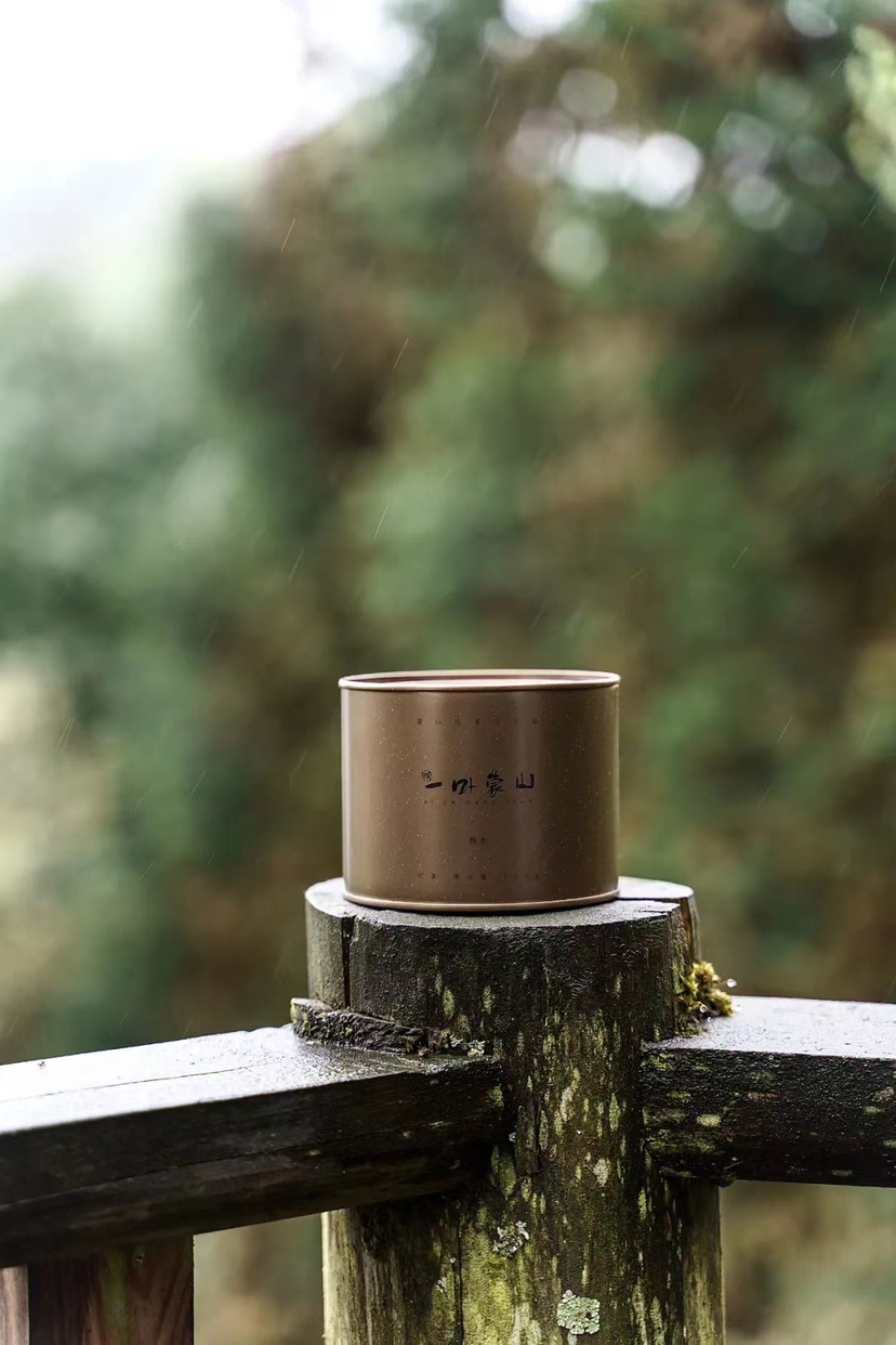 一叶蒙山·隽永 100g（2026年新茶）