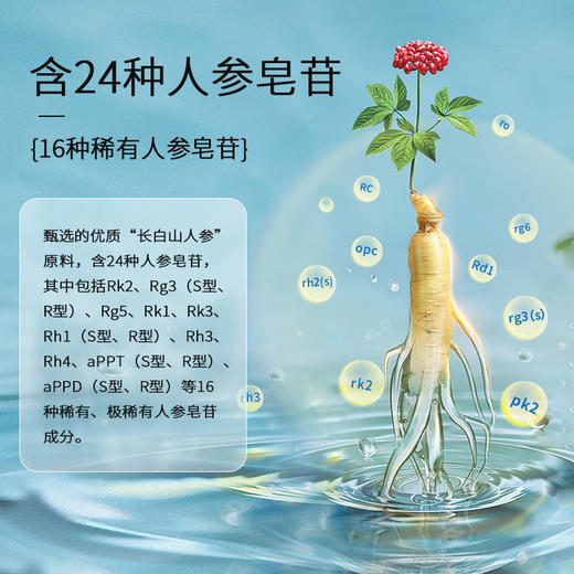 热售【西洋参蜜片】长白山人参西洋参蜜片50g/罐即食滋养大片泡水口嚼参片 商品图2