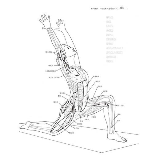 瑜伽体式解剖涂色书 汪黎明 许捷 刘应红 译 趣学解剖强化训练 瑜伽体式 瑜伽解剖 运动康复 北京科学技术出版社9787571437367 商品图3